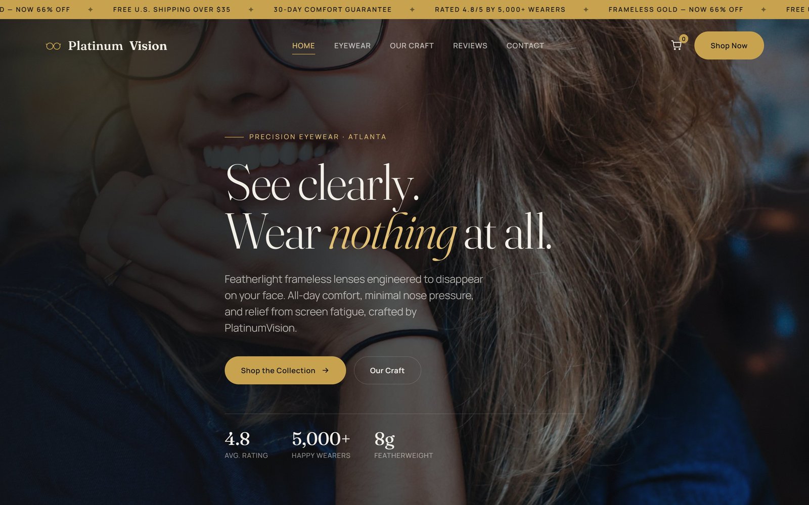 PlatinumVision homepage
