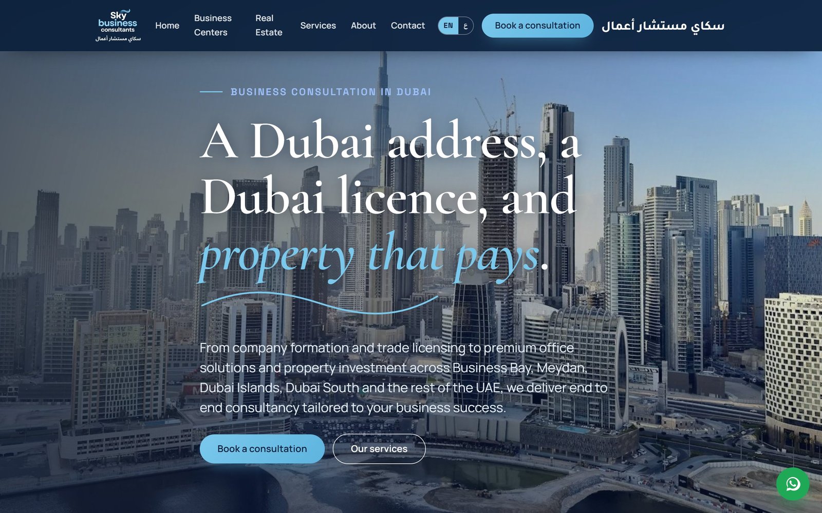 Sky Business Consultants homepage as built by LlamaMakers